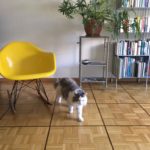 Silvia und Katze Knuddeluf